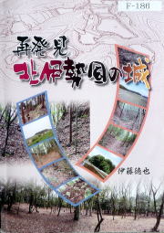 伊藤先生の本　A4坂379ページ、測量データは勿論、写真、図版、表、歴史文書リストなど北勢の城のことはすべて網羅されています