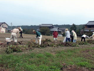 北小松の実験農園での作業