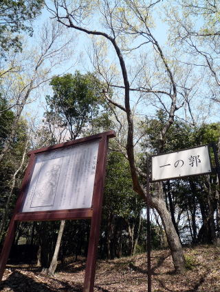 広々とした一の郭ではコナラが芽吹き始めていました