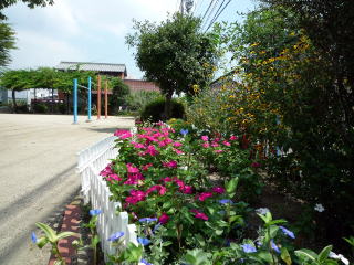 町内のボランティアが手入れしている小古曾1号公園の花壇