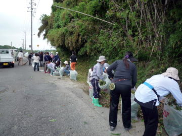 采女城跡付近は幅が狭く、山側から草と木が張り出し、通行しにくくなっています