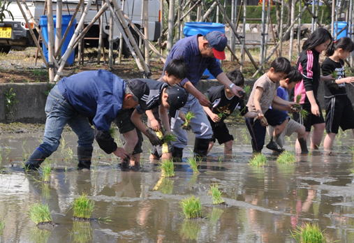 三世代が一列に並んで苗を植えます