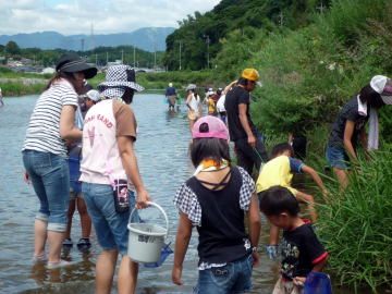 岸辺の草むらにタモをあてて、足で追い出してさかなやエビをタモに追い込みます